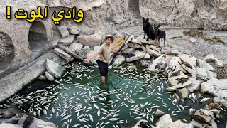 العودة إلى المغامرات ( لكن بلا روك ) صدمة الوادي! ⚠️ 
