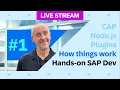 CAP Node js Plugins 1 of 3 - How things work