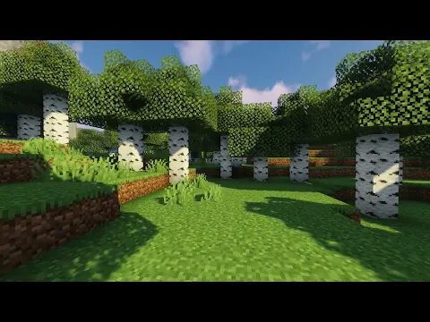 Minecraft server video for Pea
