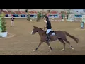 Cuba Libre OS 1 30m West Palms Grand Prix CLEAR ROUND LAEC 2026 Camilo Rueda