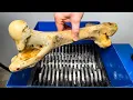 Giant Beef Bone vs Industrial Shredder