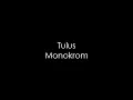 Download Lagu Tulus - Monokrom (HQ)