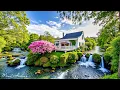 Download Lagu Restore Your Nervous System 🌿 Relaxing Music \u0026 Nature Sounds for Deep Sleep and Stress Relief #16