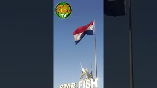 متخافوش على مصر ربنا حاميها        تحيا مصر      دندنها