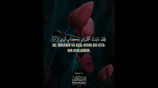 Nəml Surəsi Mohammed Kamal Salem 