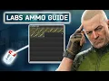 Labs AMMO Guide - Is it worth looting