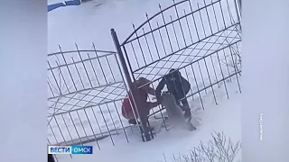 44 косули погибли в Омске в ДТП