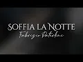 Soffia la Notte - Fabrizio Paterlini (Piano Cover)
