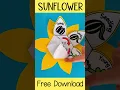 Sunflower life cycle cut and paste activity - free download