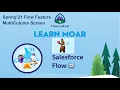Spring 21 Flow Feature - MultiColumn Screen