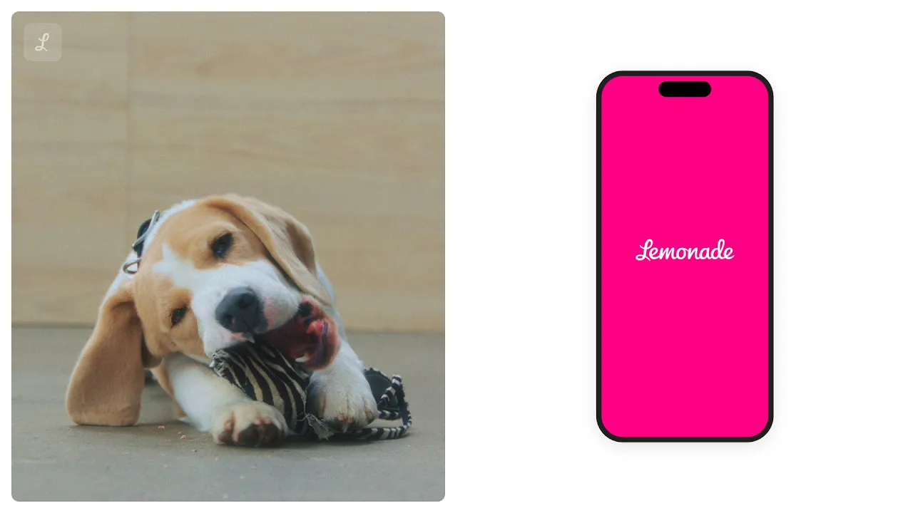 Lemonade — Lemonade Pet Insurance - Fast Claims & Savings (YouTube video ad)