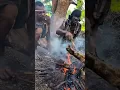 Tribal Woman cooking meal roasted food delicious enjoy🤤😁#africa #food #wildlife #africanfood #tribal