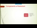 Selenium C Tutorial - What is selenium Webdriver RC IDE GRID