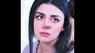 زمنك كان ولا حاجة  أنا عمرى مابندم علي جارح    دندنها