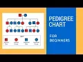 Pedigree Charts for beginners