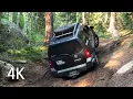 Rupp Gulch Rampart Range CO Solo