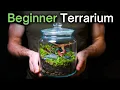 How To Make a Terrarium An In-Depth Tutorial