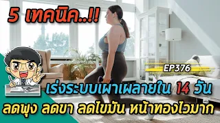 ทำไมการลดช่วงเวลาที่กินอาหารถึงช่วยให้เผาผลาญไขมันได้ดีขึ้น