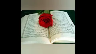  نور دربي بالقرآن   دندنها