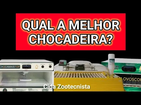 Download MP3 QUAL A MELHOR CHOCADEIRA?