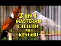 Masteran Favorit Burung Murai Batu, Materi Kicau Cililin Vs Kenari