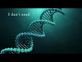 Human (lyrics included)