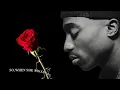 Download Lagu 2pac ft. Zara Larsson (Baby please don't cry)