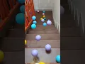 Download Lagu Oddly Satisfying ASMR || Bola jatuh dari Tangga #shorts #reels #stairs #satisfying #asmr