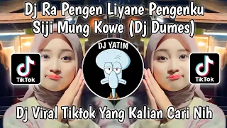 dj ra pengen liyane pengen ku siji mung kowe kenyataan e dudu dumes by pani fvnky viral tiktok 2023
