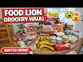 Food Lion Grocery Haul 26