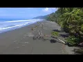 Dan Gibson’s Solitudes - Into the Clouds | Costa Rica