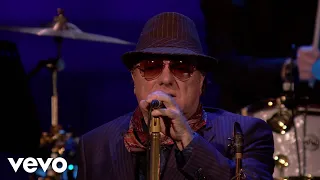 Van Morrison - Jackie Wilson Said (Live)