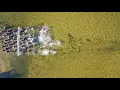2020 Door County Triathlon Promo Vid