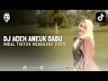 Download Lagu DJ ACEH CINTA AWAI LOEN MEE | DJ VIRAL TIKTOK MENGKANE 2025
