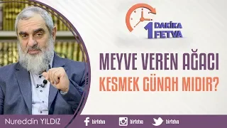 Meyve veren ağacı kesmek günah mıdır?