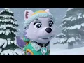 Everest Gets Stuck in a Cave! - PAW Patrol - Cartoons for Kids