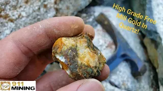 Ultra High Grade Gold Quartz Found On A New Logging Road! (4.3oz/ton)