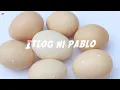 Download Lagu 'ITLOG NI PABLO' BY SB19 - MP (Cover)