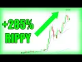 EGIO PEGY BACK TO BACK PENNY STOCKS RAN PARABOLIC THIS WEEK