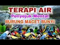 Lagu SUARA AIR ALAM PENYEJUK MENTAL BURUNG MACET BUNYI, TERAPI AIR UNTUK SEMUA JENIS BURUNG MACET BUNYI