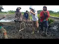 Download Lagu Bahuma sadikit tadudi pada orang ( cover lagu banjar )
