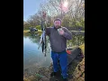 1 000 lb Trout Stocking Derby Opening Day 2024
