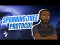 Spanning Tree Protocol Explained Prevent Network Loops Like a Pro