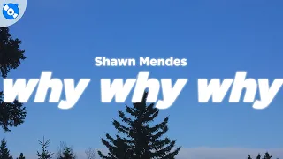 Shawn Mendes Why Why Why Clean Lyrics 