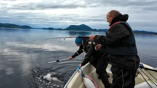 ЛОВИМ СКУМБРИЮ ПАЧКАМИ, а на нее ХЕКА… Ловля скумбрии и хека в Норвегии 2026