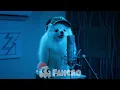 DADDY YANKEE || BZRP Music Sessions #0/66 (Perro)