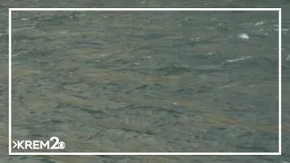 Twenty-five Washington lakes stocked across the state with jumbo rainbow trout