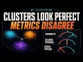 Your Clusters Look Perfect But the Metrics Disagree Clustering Evaluation