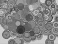 Processing sketch Mouse Tails Raindrops