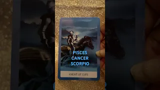 NEXT 48 HOURS Shorts Viralvideo Trending 